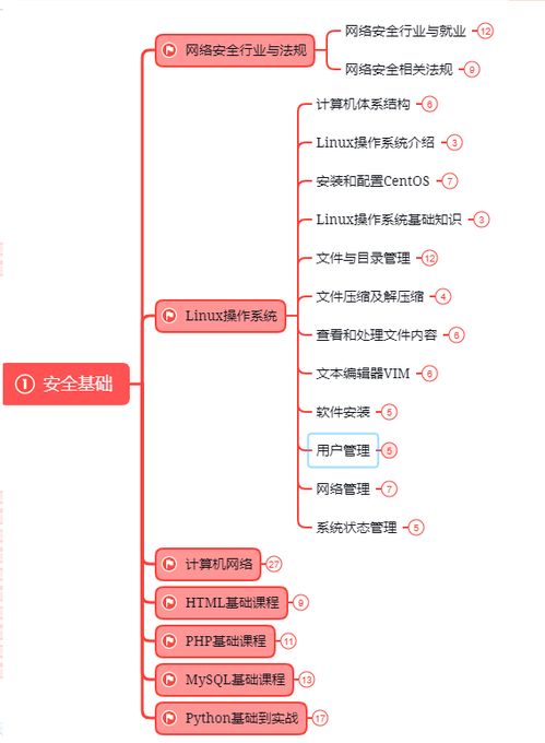 年薪百萬的網絡信息安全工程師 守護數字世界的神秘衛士